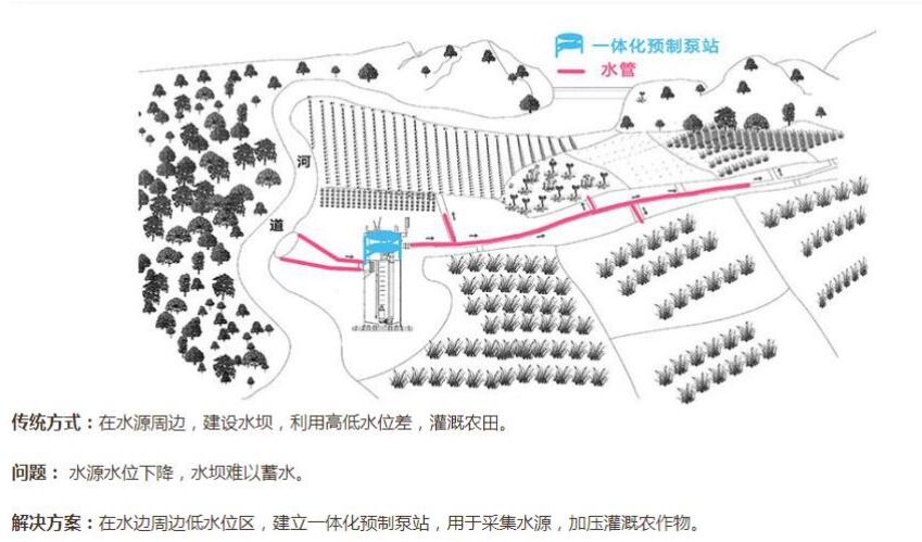 2025年新澳门开门原料