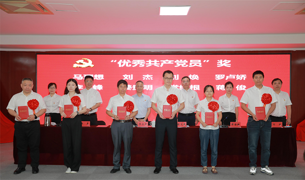 2025年新澳门开门原料