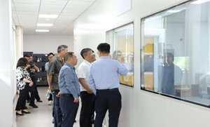 2025年新澳门开门原料