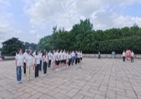 2025年新澳门开门原料