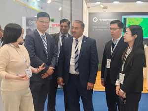 2025年新澳门开门原料