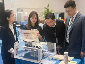 2025年新澳门开门原料