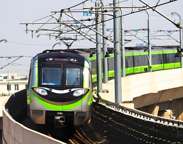 2025年新澳门开门原料