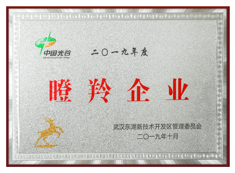 2025年新澳门开门原料